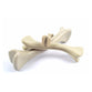 High Quality Dog Bone Chew Toys - Hot Selling!
