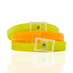 Anti Tick Flea Protection Collar for Dog