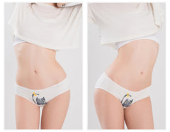 Cotton Mixed Color Cat Seamless Panties for Girls - Pet Stylo Cotton Mixed Color Cat Seamless Panties for Girls - Pet Stylo