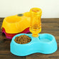 Dual Port Pets Food Bowl with Automatic Water Dispenser for Dog/Cat